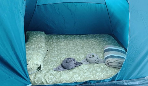 Basic Tent, 2 Queen Beds