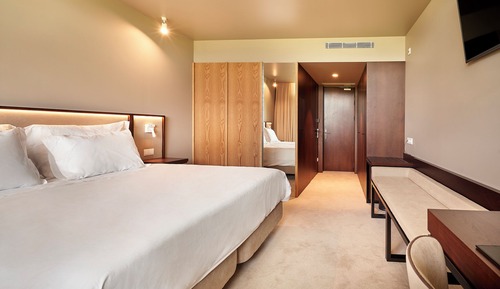 Deluxe Double or Twin Room, Mountain View