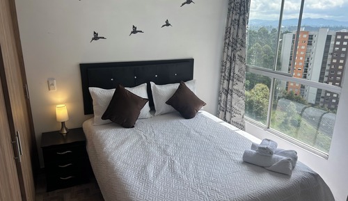 Basic Apartment, City View