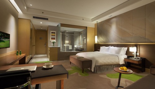Superior Single Room
