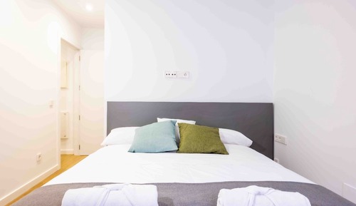 Basic Apartment
