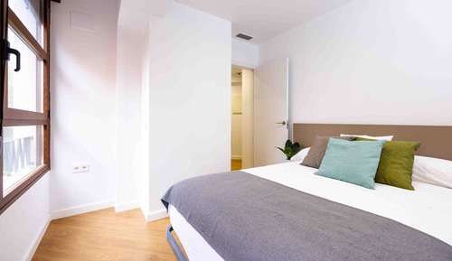 Basic Apartment
