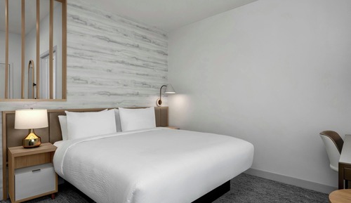 Studio, 1 King Bed with Sofa bed