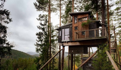 Economy Tree House, Balcony, Park View