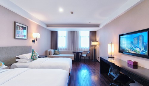 Basic Twin Room