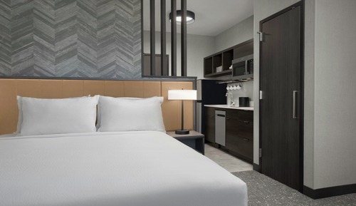 Studio Suite, 1 King Bed with Sofa bed, Mountain View