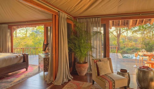 Suite, 1 King Bed