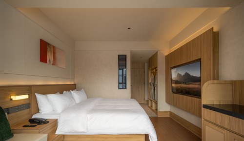 Basic Double Room