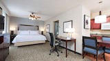 Studio Suite