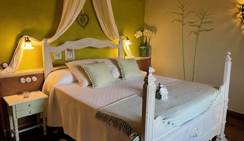 Economy Room, Vineyard View