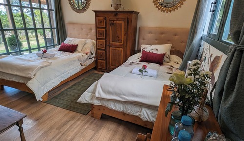 Twin Room, Patio