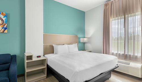 Room, 1 King Bed, Accessible, Non Smoking