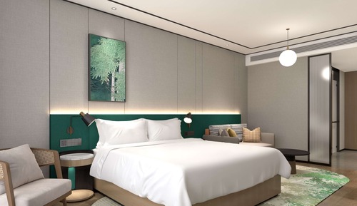 Room, 1 King Bed