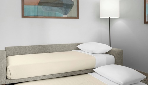 Suite, Multiple Beds (Mobility Accessible, Roll-In Shower)