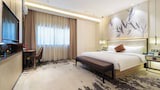 Comfort Single Room