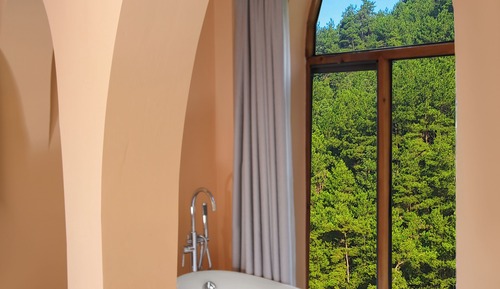 Basic Single Room, Non Smoking, Mountain View