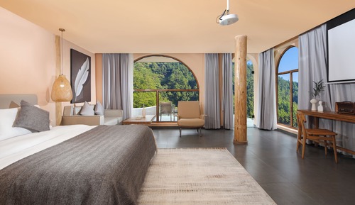 Luxury Single Room, Patio, Mountain View