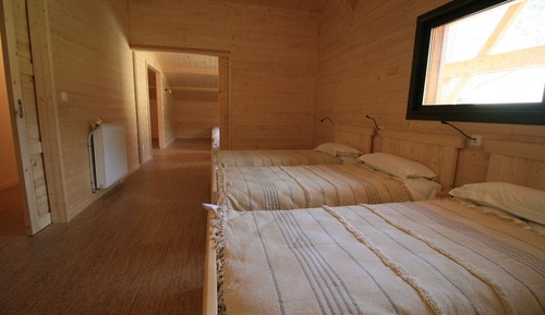 Comfort Shared Dormitory (1)