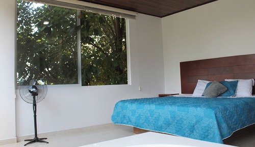 Premium Suite