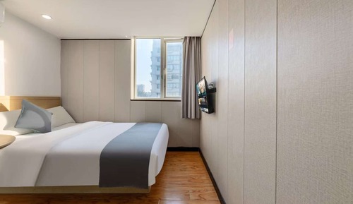 Comfort Single Room