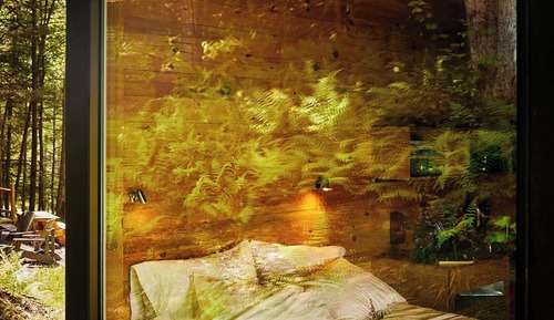 Cabin, 1 Queen Bed (View)