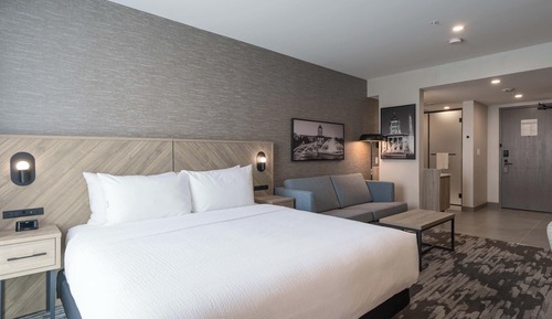 Standard Room, 1 King Bed with Sofa bed (Euro Bathroom)