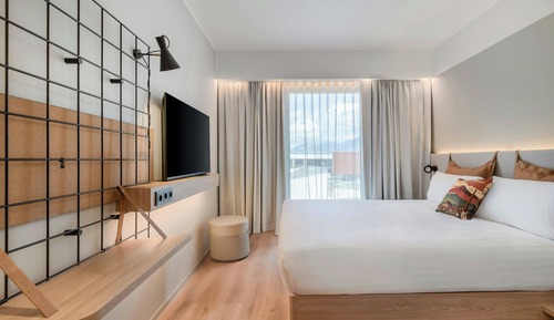 Room, 1 King Bed