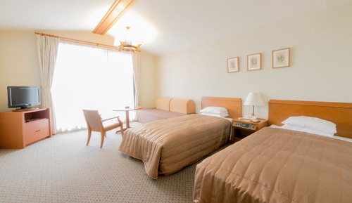 [Non Smoking] Western Style Room (Sofa Bed will be provided for more than 3 guests)