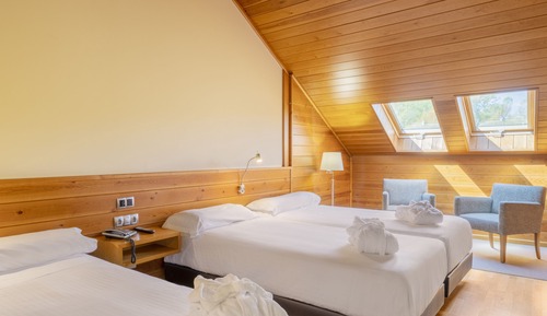 Double room with extra bed (2 adults + 1 child)