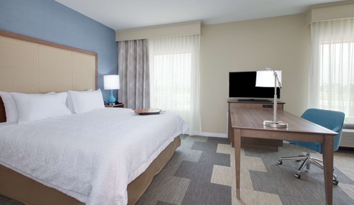 Room, 1 King Bed, Non Smoking, Refrigerator & Microwave