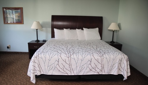 Standard Suite, 1 King Bed with Sofa bed, Non Smoking