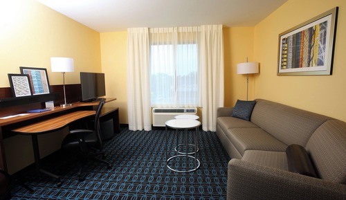 Suite, 1 King Bed with Sofa bed