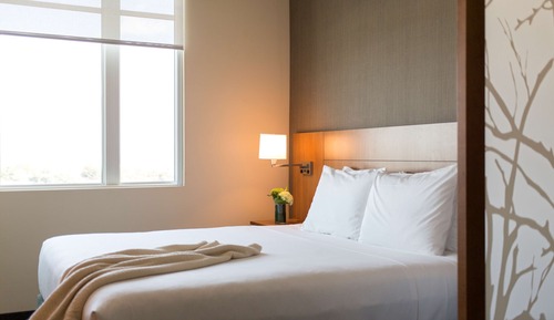 Room, 1 King Bed