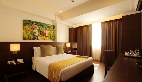 Superior Queen Room