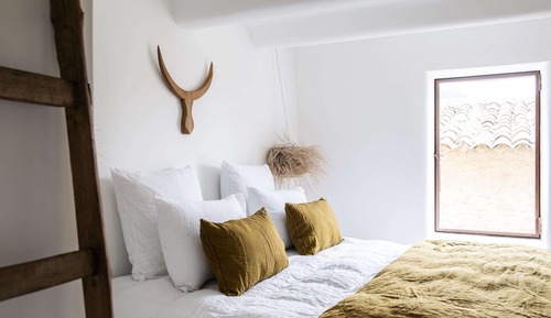 Comfort Suite