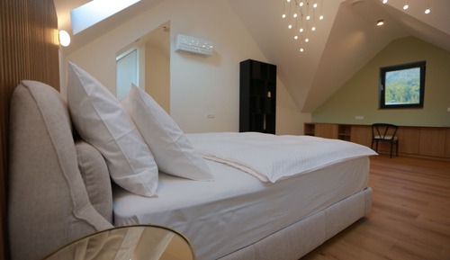 Deluxe Apartment, Balcony, Mountain View