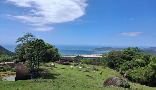 Honeymoon House, Fireplace, Beach View