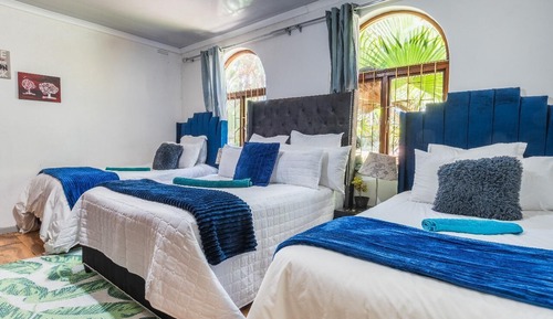 Family Double or Twin Room