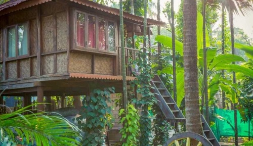 Tree House