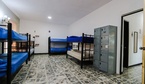 Basic Shared Dormitory, Garden View