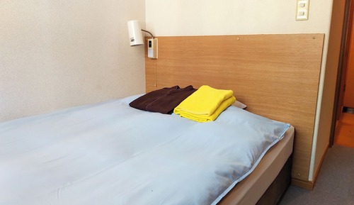 Economy Single Room, 1 Large Twin Bed, Smoking