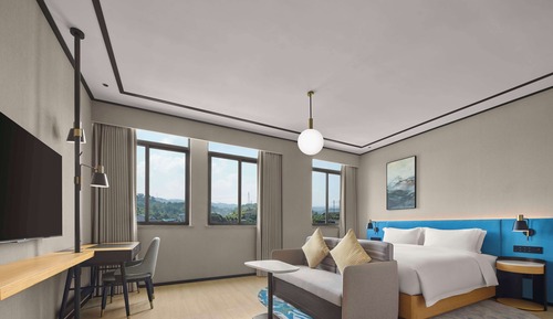 Room, 1 King Bed