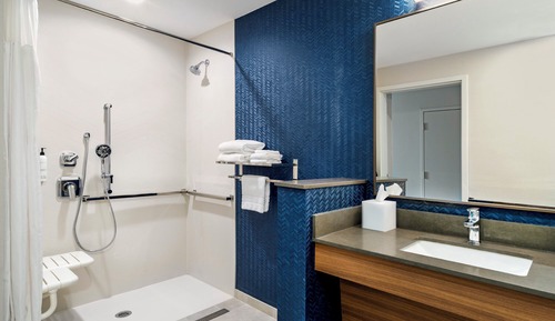 Standard Room, 1 King Bed (Mobility/Hearing Access, Roll-in Shwr)