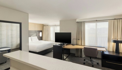 Suite, 1 King Bed with Sofa bed