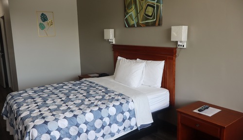 Single Room, 1 Queen Bed
