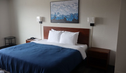 Single Room, 1 King Bed