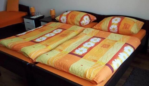 Apartment (One Bedroom Apartment with Balcony)
