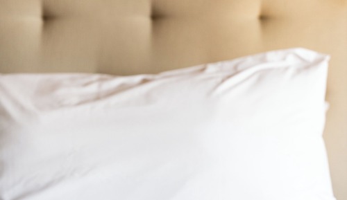 Standard Single Room, 1 King Bed
