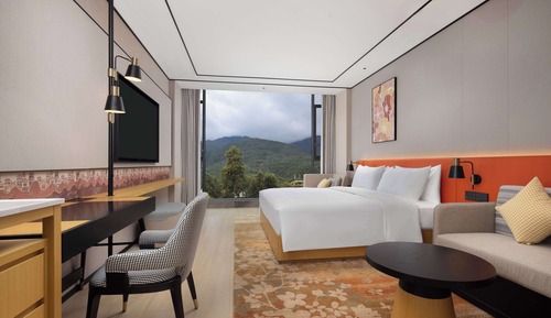 Room, 1 King Bed, Mountain View