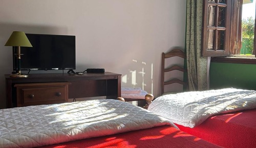 Basic Twin Room (SUITE 17)